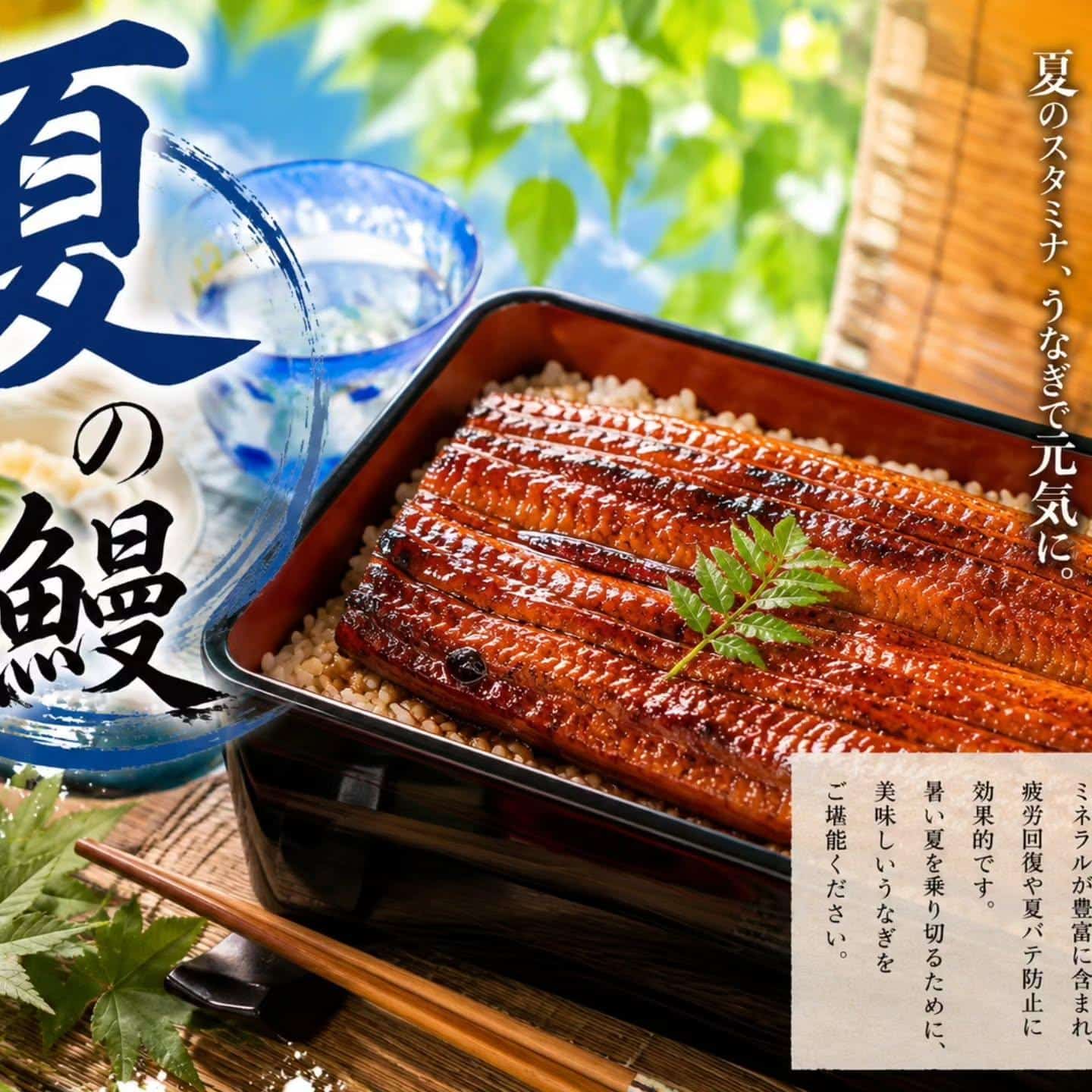こんばんは！