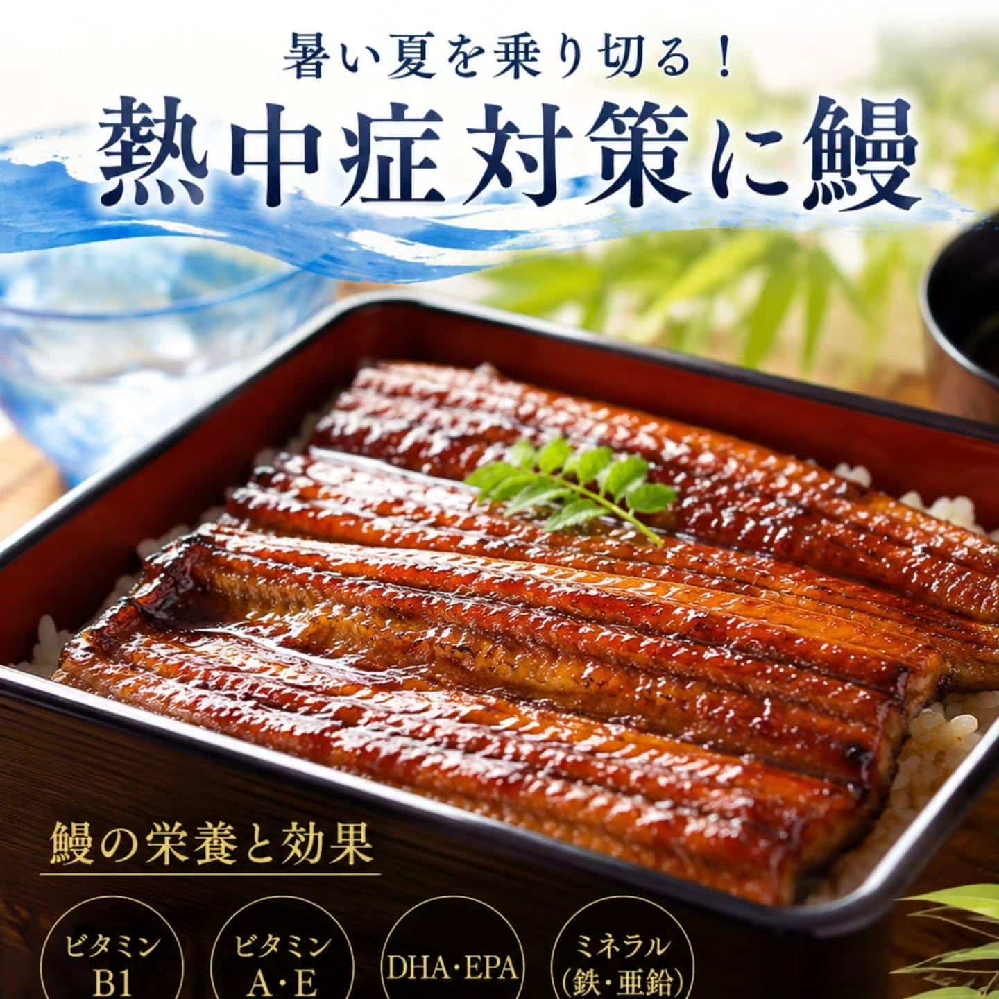 こんばんは！