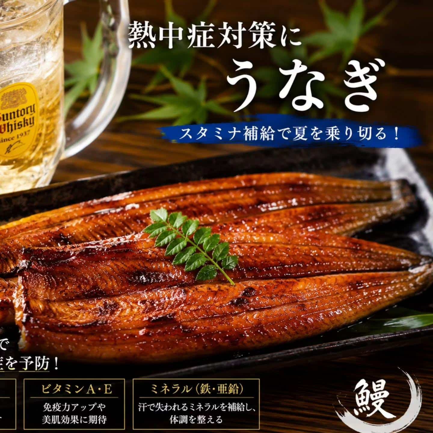 こんばんは！