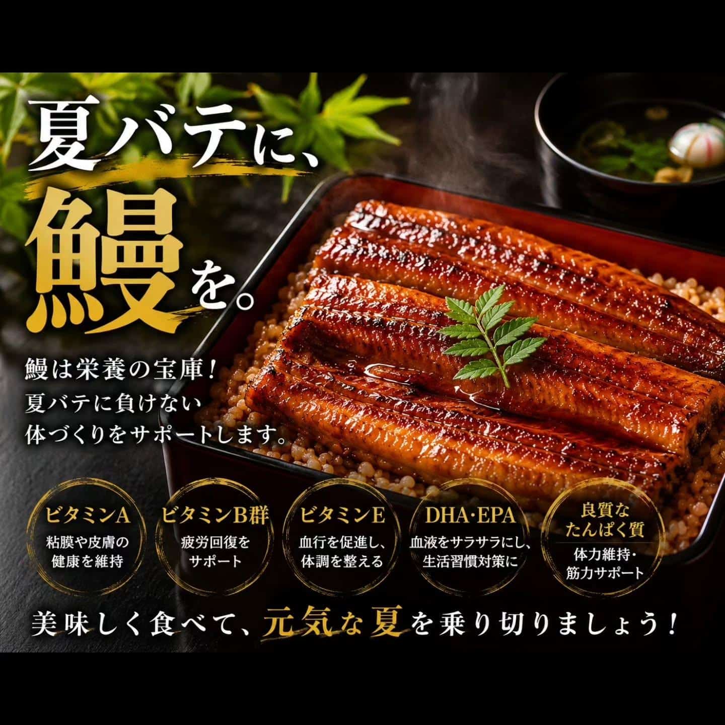 こんばんは！