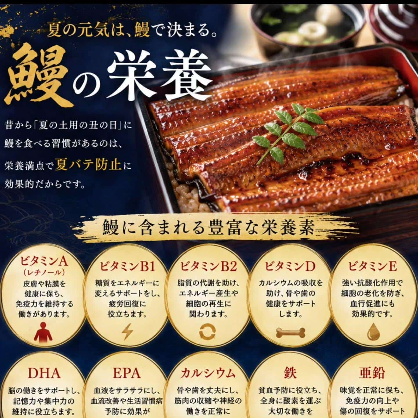 こんばんは!