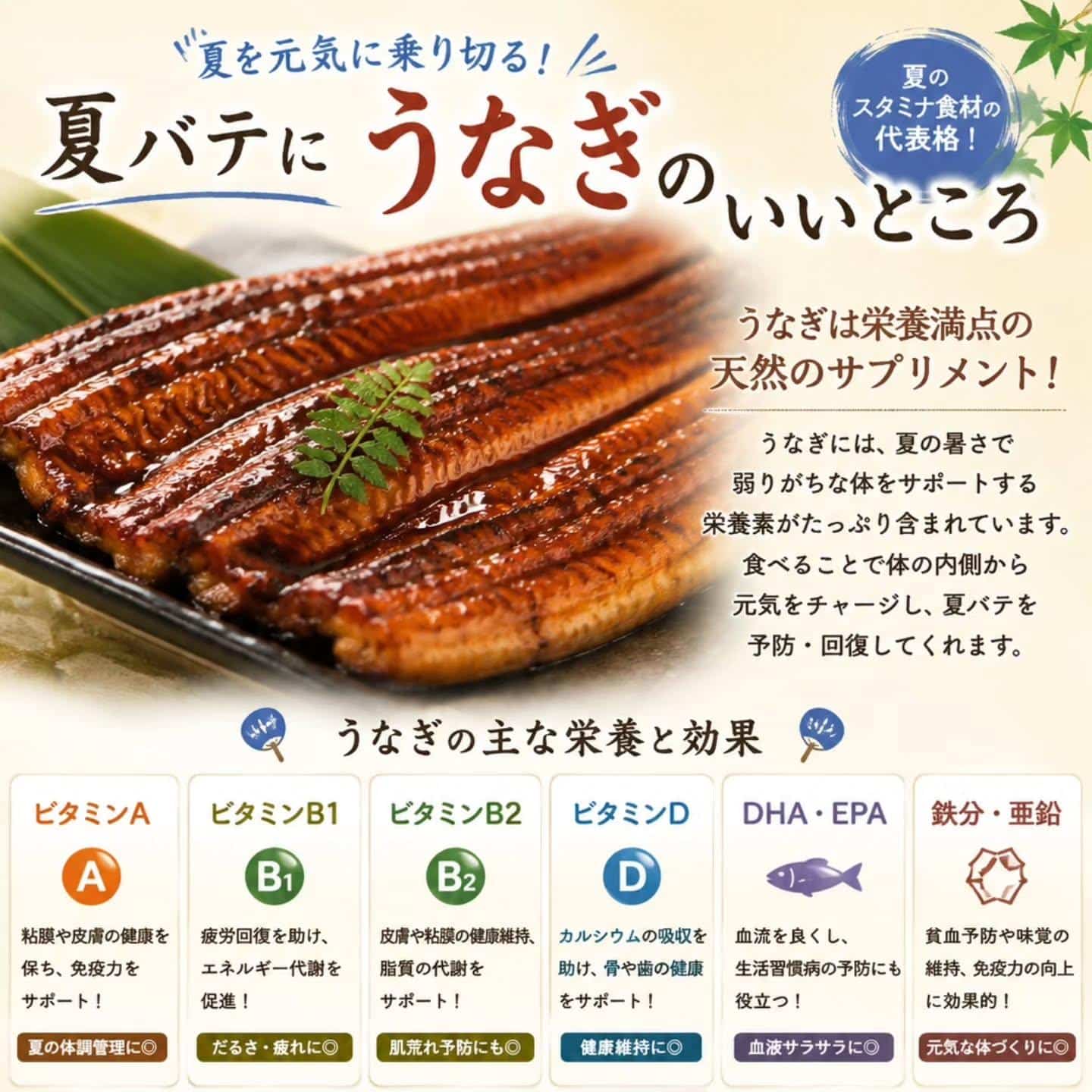 こんばんは!